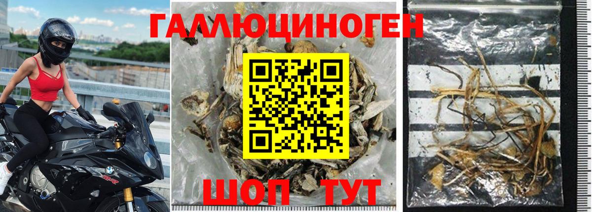 Псилоцибиновые грибы ЛСД Отрадный